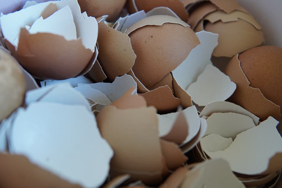 Détail d'une oeuvre en coquilles d'oeuf montrant la texture et les motifs